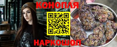 Альфа ПВП Новозыбков